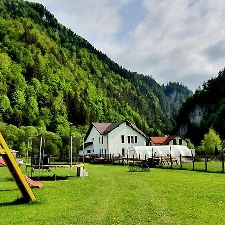 Podu Dimbovitei Casa Petruta Dambovicioara酒店 外观 照片