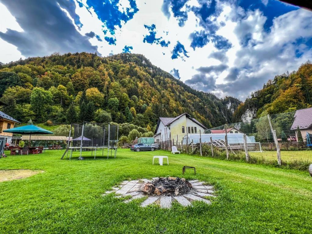 Podu Dimbovitei Casa Petruta Dambovicioara酒店 外观 照片