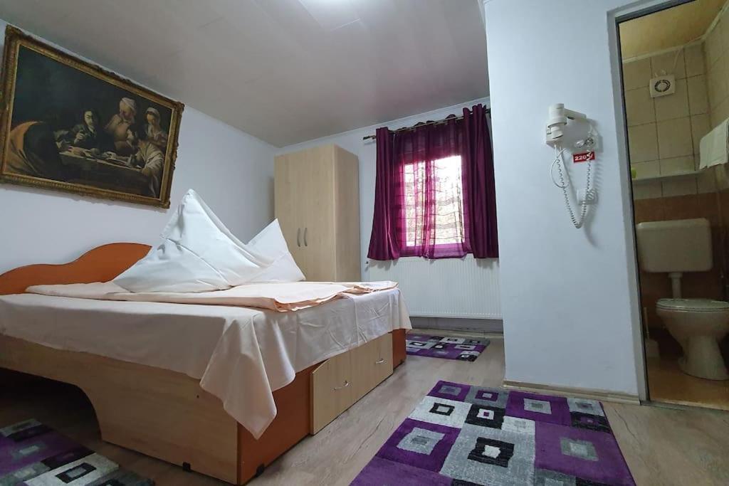 Podu Dimbovitei Casa Petruta Dambovicioara酒店 外观 照片