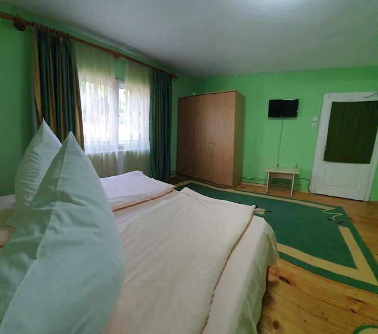 Podu Dimbovitei Casa Petruta Dambovicioara酒店 外观 照片