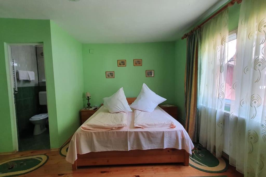 Podu Dimbovitei Casa Petruta Dambovicioara酒店 外观 照片