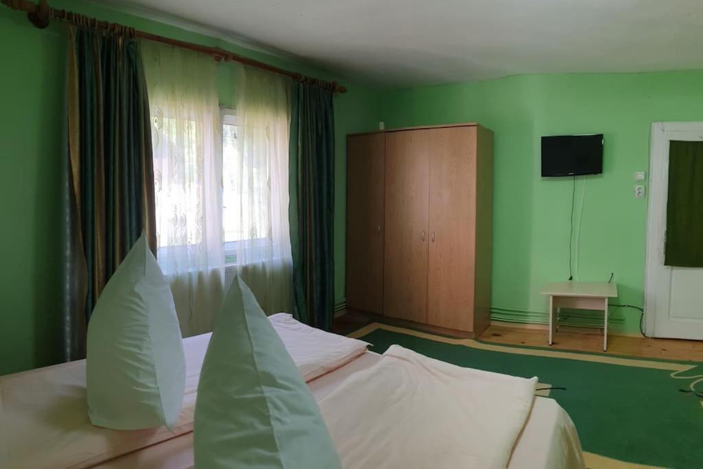 Podu Dimbovitei Casa Petruta Dambovicioara酒店 外观 照片