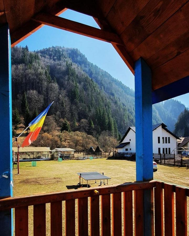 Podu Dimbovitei Casa Petruta Dambovicioara酒店 外观 照片