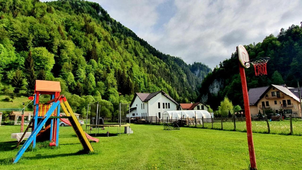 Podu Dimbovitei Casa Petruta Dambovicioara酒店 外观 照片